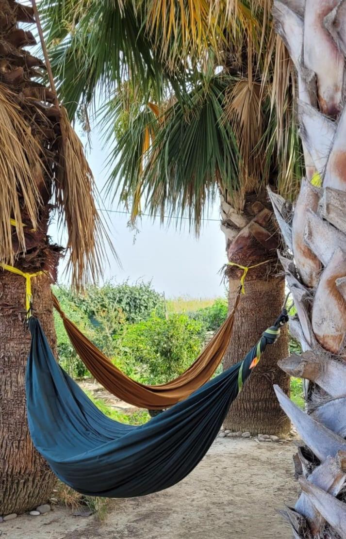 Eco Hostel Vela Vega ブテーラ エクステリア 写真